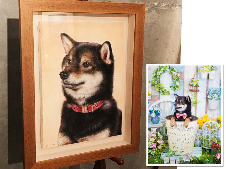 10,500円犬、犬の肖像