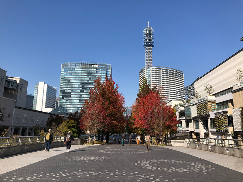 ランドマークタワー側から見たMARK ISみなとみらいと横浜美術館