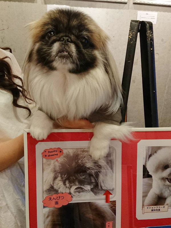 ペット肖像画製作所のポスター写真とモデルになった犬の写真