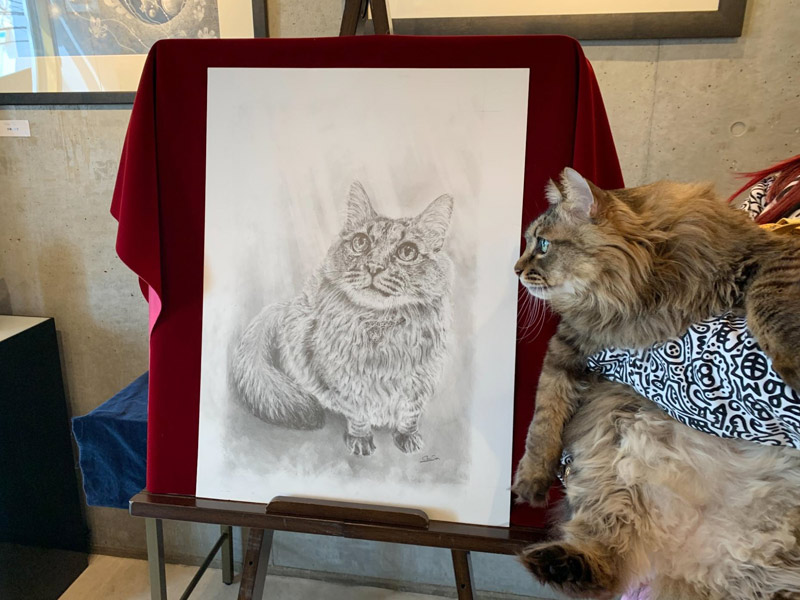 ペット肖像画製作所の鉛筆画完成作品と一緒に映る猫ちゃん