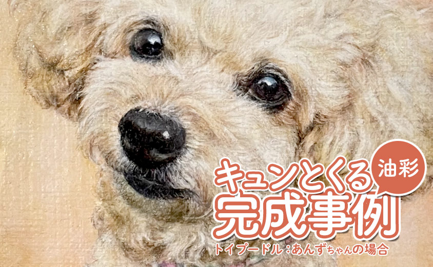 トイプードル犬の絵【完成例】お顔アップの胸像画として描いたペット肖像画