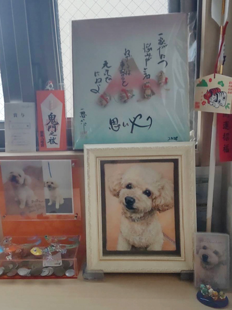 ペット肖像画製作所で作成したトイプードル犬の油彩画作品写真