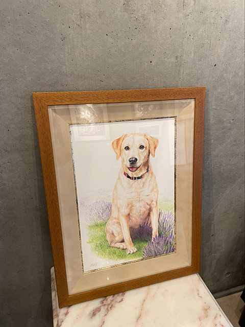 ペット肖像画製作所の大型犬肖像画作品