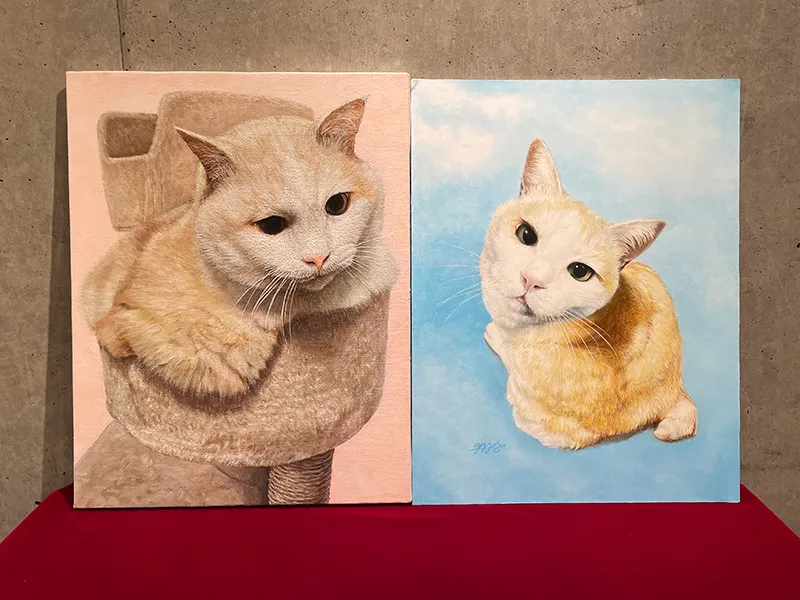 ペット肖像画（ミックス猫）油彩画の完成作品写真