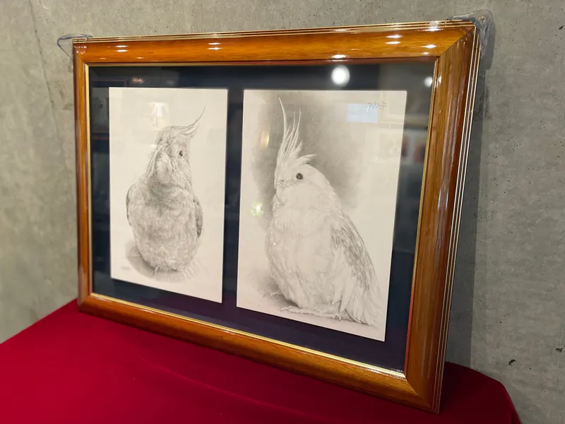 モノクロ画