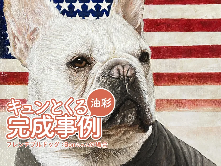 フレンチブルドッグのサムネイル