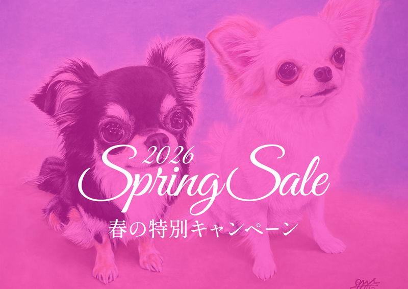 ペット肖像画製作所キャンペーンのアイキャッチ画像